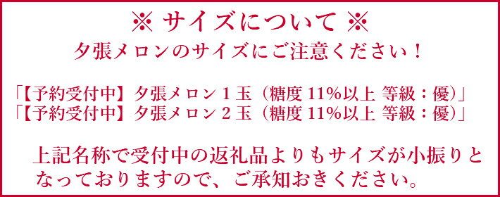 【ふるさと納税】　【予約受付中】「メロン熊くたくたストラップゴールド」と「夕張メロン優2玉（1玉約1.3kg）」セット　北海道夕張市 サムネイル3