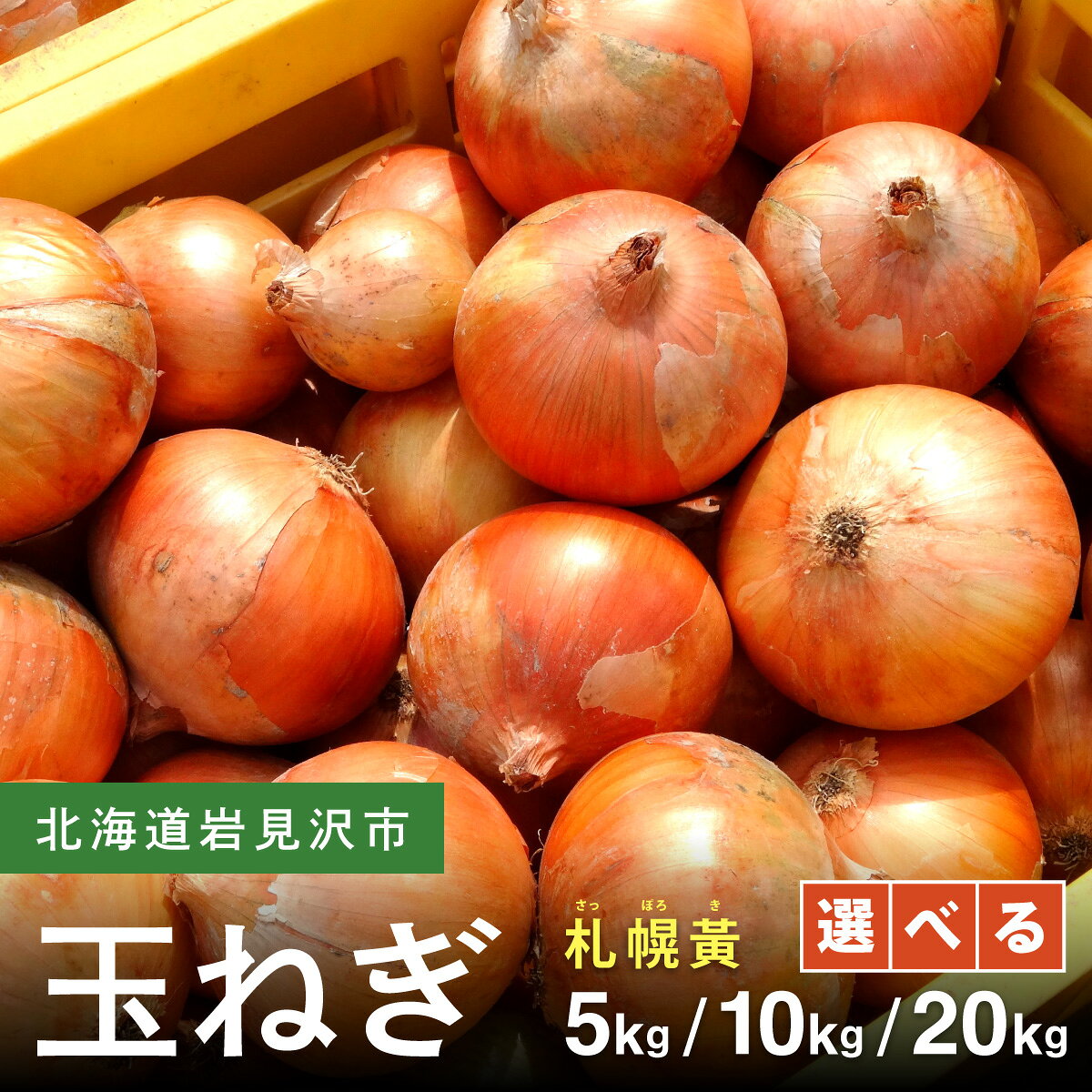 先行予約 ＜内容量が選べる＞ 幻の玉ねぎ！札幌黄（さっぽろき） 5kg / 10kg / 20kg たまねぎ 玉葱 タマネギ国産 産地直送 まとめ買い 業務用 贈り物 甘い 野菜 シャキシャキ 美味しい 北海道 送料無料