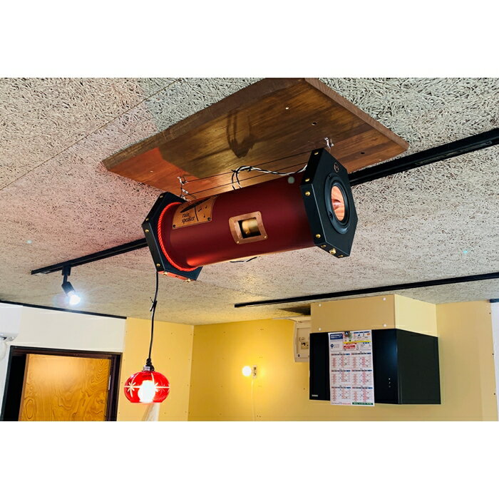 【ふるさと納税】『あなたがまだ聴いたことのない響き』レインスピーカー150・カラーガルバリウム鋼板・ウッドコーン（全30色で表裏でカラーの組み合わせ可能）【15009】 サムネイル3