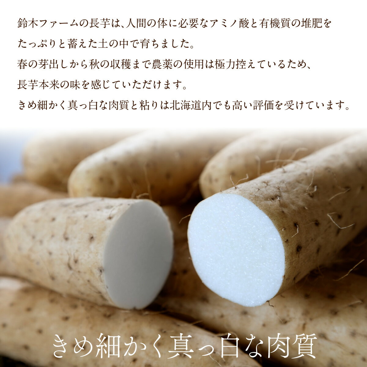 【ふるさと納税】 長芋 選べる3～10kg 【 ふるさと納税 人気 おすすめ ランキング 長芋 ながいも ミネラル とろろ オホーツク 北海道 網走市 送料無料 】 ABBX001-v - 画像2