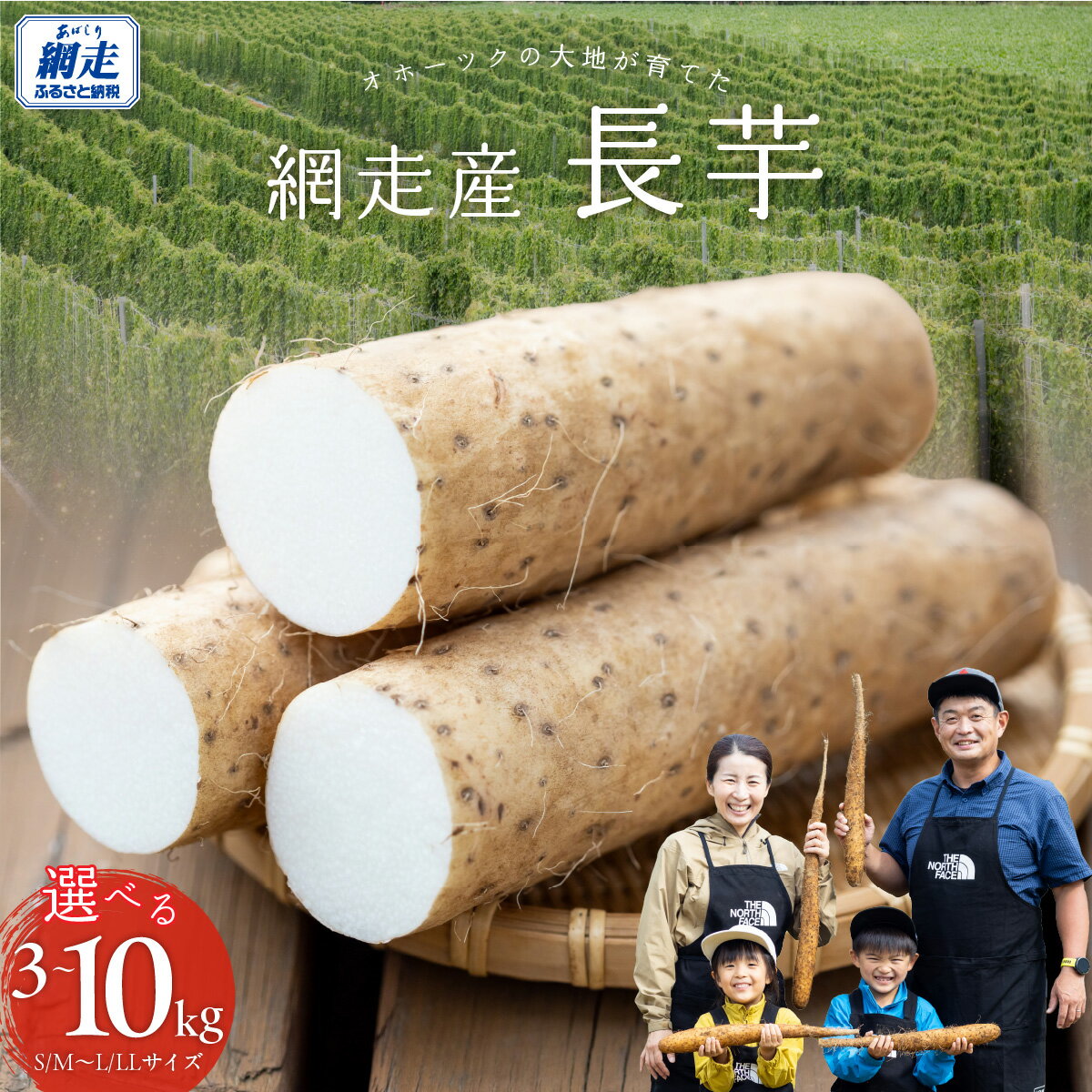 長芋 選べる3～10kg 【 ふるさと納税 人気 おすすめ ランキング 長芋 ながいも ミネラル とろろ オホーツク 北海道 網走市 送料無料 】 ABBX001-v