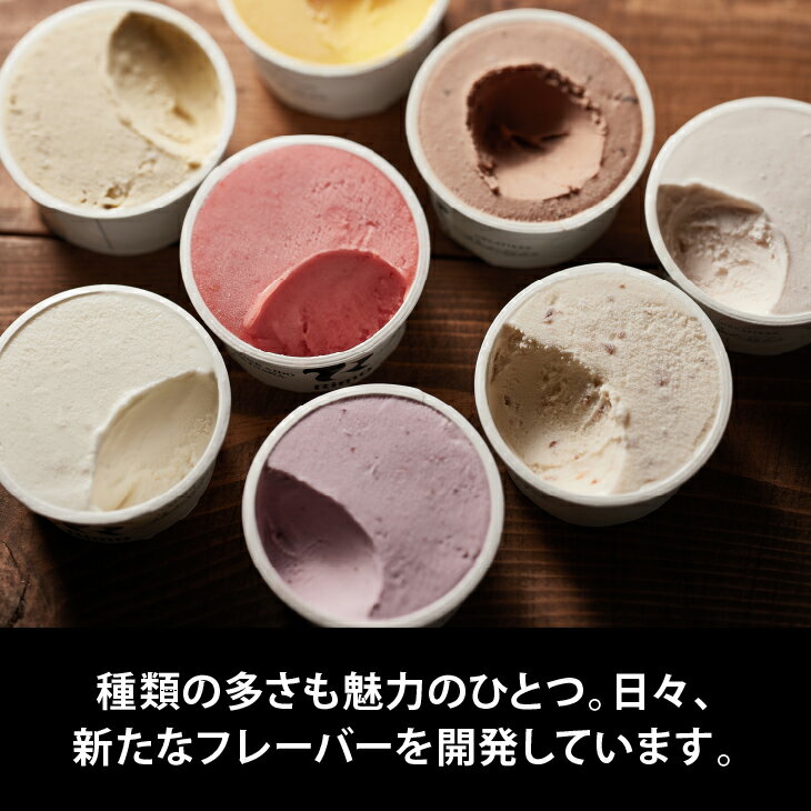 【ふるさと納税】ジェラート国際大会優勝店「Rimo」おすすめ8個セット【 Rimo ジェラート アイスクリーム アイス スイーツ 北海道 人気 ランキング お菓子 洋菓子 デザート セット 詰合せ 詰め合わせ 北海道 網走市 送料無料 】 ABA004 サムネイル2