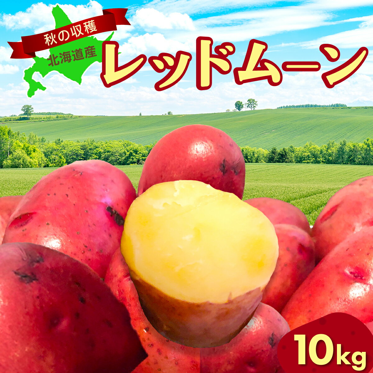 【先行予約】秋の収穫美味レッドムーンじゃがいも 10kg（2026年9月15日以降発送）【 ふるさと納税 人気 おすすめ ランキング レッドムーン じゃがいも ジャガイモ いも イモ 芋 10kg 野菜 支援 網走産 オホーツク 北海道 網走市 送料無料 】 ABAO071