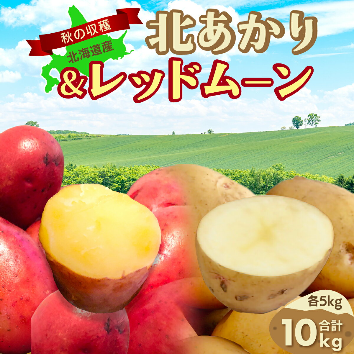 【先行予約】秋の収穫北あかり、レッドムーン合計10kg（2026年9月15日以降発送）【 ふるさと納税 人気 おすすめ ランキング じゃがいも ジャガイモ 芋 いも イモ 北あかり レッドムーン 野菜 セット 詰め合わせ 詰合せ 北海道 網走市 送料無料 】ABAO085