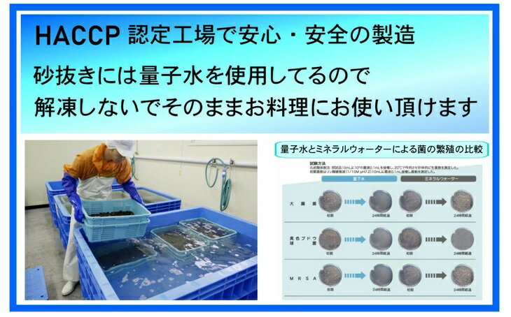 【ふるさと納税】網走湖産 天然大粒 大和しじみ 選べる 1.2kg 2kg 2.5kg ※着日指定不可 【 ふるさと納税 人気 おすすめ ランキング しじみ シジミ 蜆 大和しじみ 貝 魚貝類 網走湖産 砂抜き済 冷凍 味噌汁 大粒 天然 オホーツク 北海道 網走市 送料無料 】 ABX033 サムネイル3