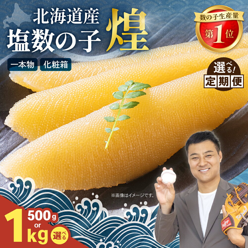 〈選べる量・発送回数〉数の子 北海道 煌 500g 国産 令和6年 水産庁長官賞受賞 やまか つまみ ご飯のお供 惣菜 おかず 海鮮 海産物 海の幸 魚介類 魚卵 加工品 北海道産 かずのこ カズノコ 塩カズノコ おせち R001-019