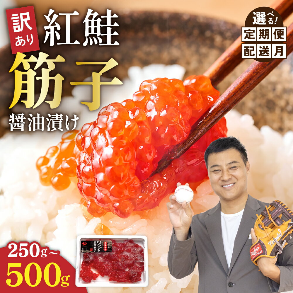 〈選べる量・選べる配送月・選べる回数(500g)〉訳あり 北海道 紅鮭 筋子 醤油 漬け 250g/500g (250g×2個入） 加藤水産 ひとくちカット 不揃い 小分け 海鮮 海産物 魚介類 魚卵 鮭 すじこ いくら イクラ 訳アリ おせち R002-004