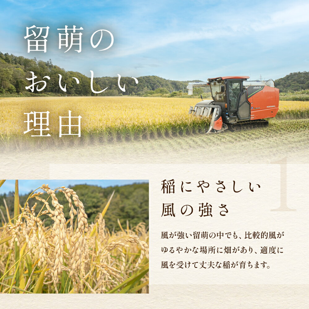 【ふるさと納税】回数が選べる 定期便 北海道留萌産「ゆめぴりか＆ななつぼし(玄米)」20kg (10kg×2) 北海道 南るもい産 ふるさと納税米 ふるさと 南るもい さとうファーム 留萌 1回 3回 6回 9回 12回 R011-013 - 画像2