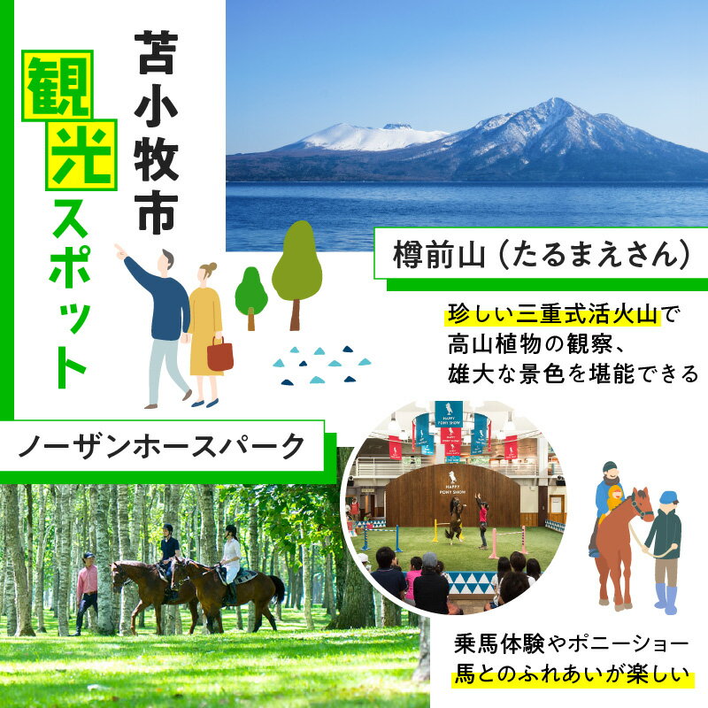 【ふるさと納税】北海道苫小牧市の対象施設で使える楽天トラベルクーポン 寄付額60,000円 送料無料 北海道 苫小牧市 お礼の品 贈り物 プレゼント トラベルクーポン 楽天トラベル トラベル クーポン 旅 旅行 旅行クーポン 楽天 旅券 温泉 観光地 ホテル 旅館 チケット サムネイル3