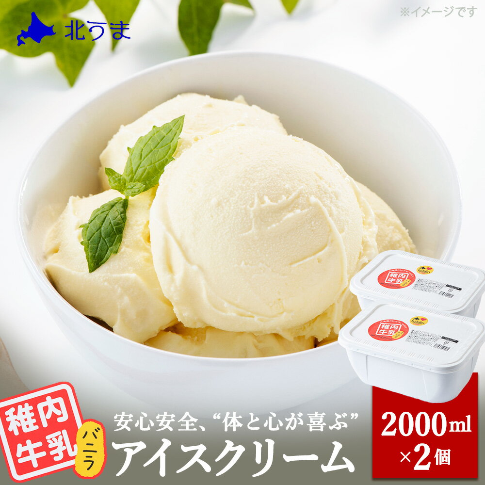 【業務用】稚内牛乳アイスクリーム2000mlバニラ×バニラ2個セットアイス アイスクリーム スイーツ デザート 氷菓 牛乳 北海道ふるさと納税 稚内 【配送不可地域：離島・沖縄県】