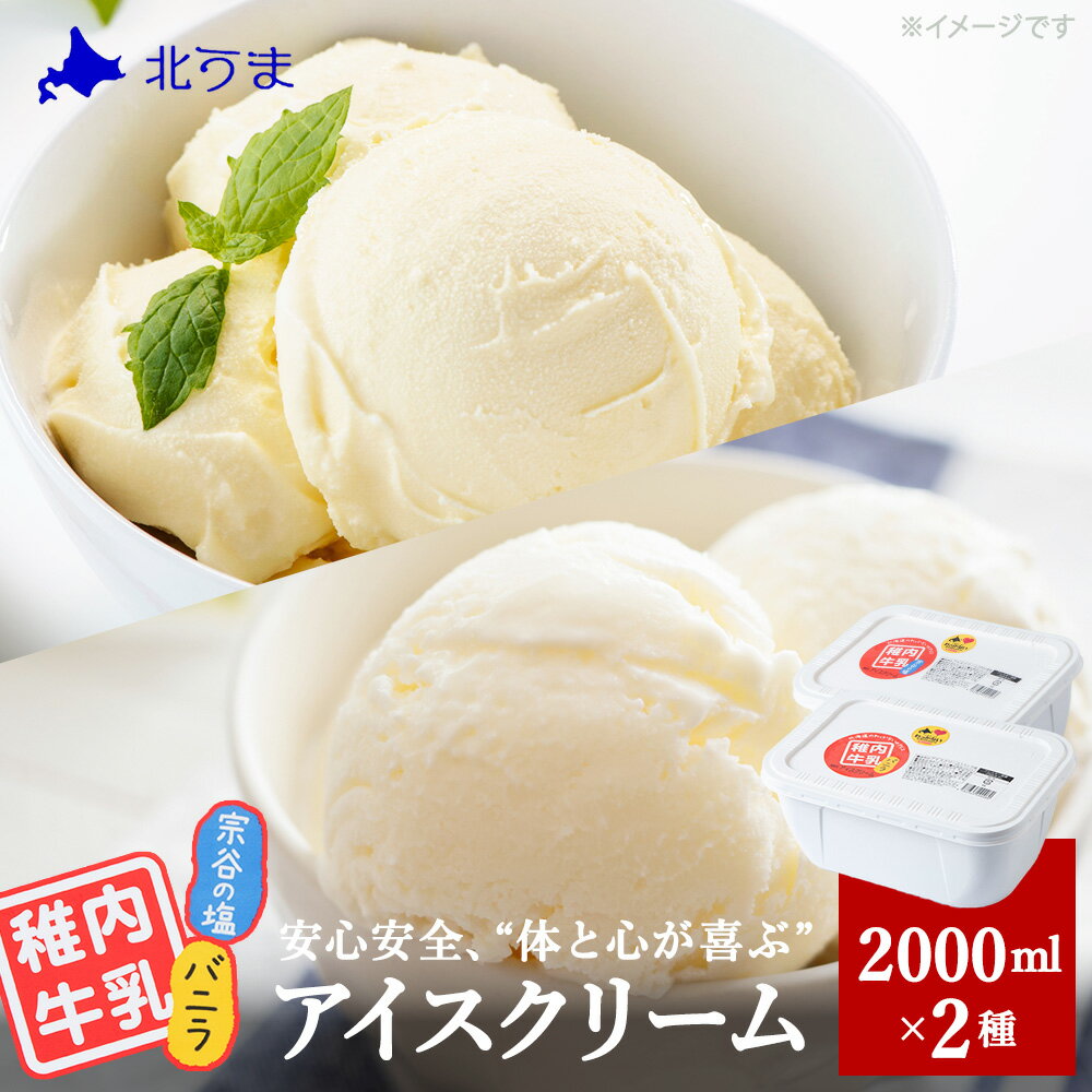 【業務用】稚内牛乳アイスクリーム2000mlバニラ×宗谷の塩2個セット アイス アイスクリーム スイーツ ギフト プレゼント 贈り物 送料無料 【配送不可地域：離島・沖縄県】