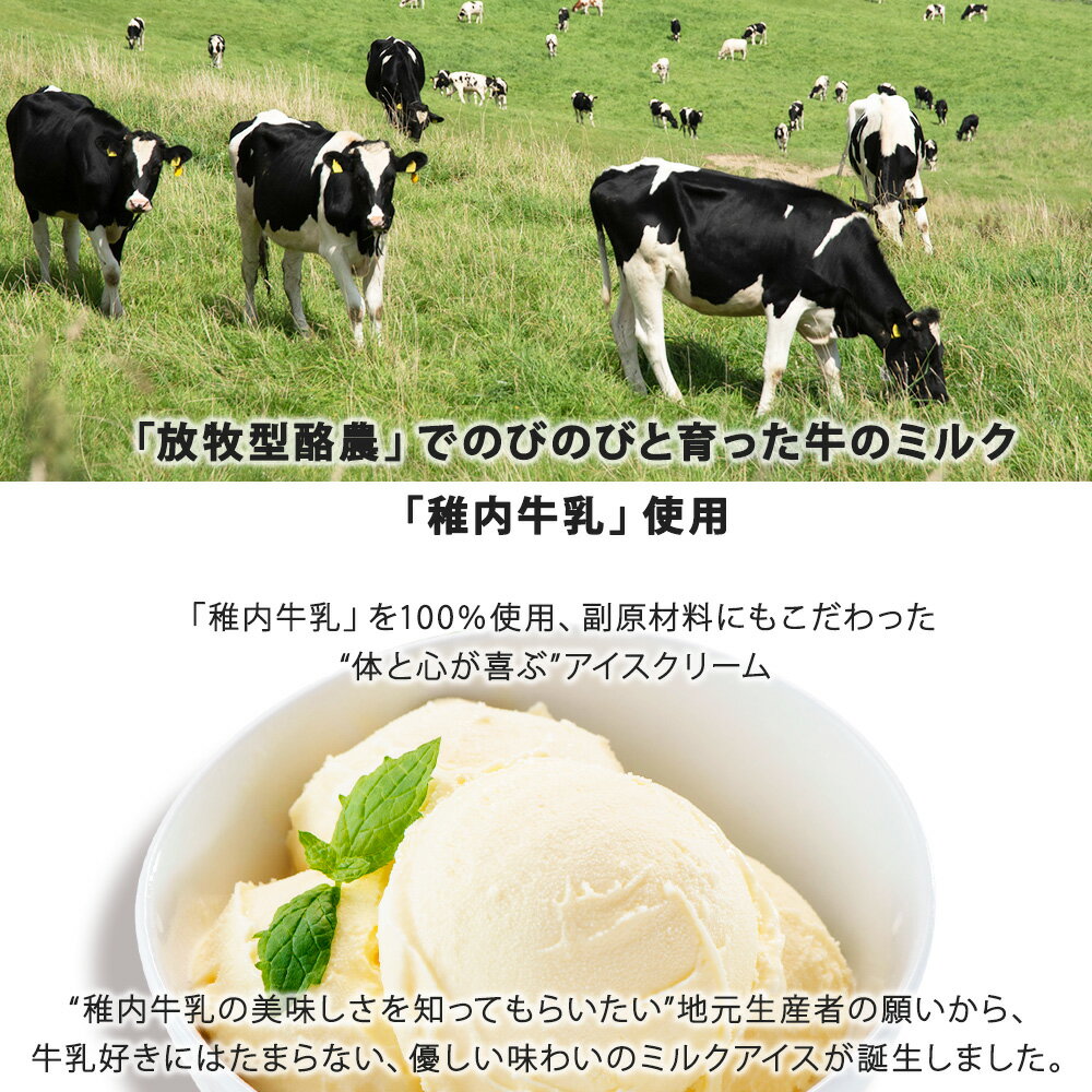 【ふるさと納税】【 業務用 】 稚内牛乳 アイスクリーム 2L×2個 ( バニラ & 宗谷の塩 ) と珍味ホッケ燻製アイス アイスクリーム スイーツ デザート 氷菓 牛乳 北海道ふるさと納税 稚内 ふるさと納税 北海道 【配送不可地域：離島・沖縄県】 - 画像3