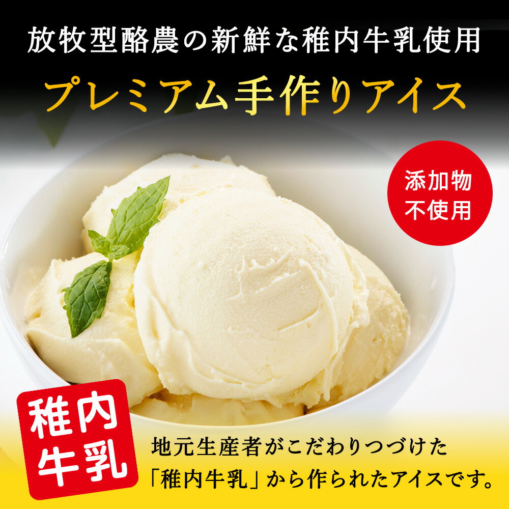 【ふるさと納税】【業務用】稚内牛乳アイスクリーム2000mlバニラ×バニラ2個セットアイス アイスクリーム スイーツ デザート 氷菓 牛乳 北海道ふるさと納税 稚内 【配送不可地域：離島・沖縄県】 - 画像2