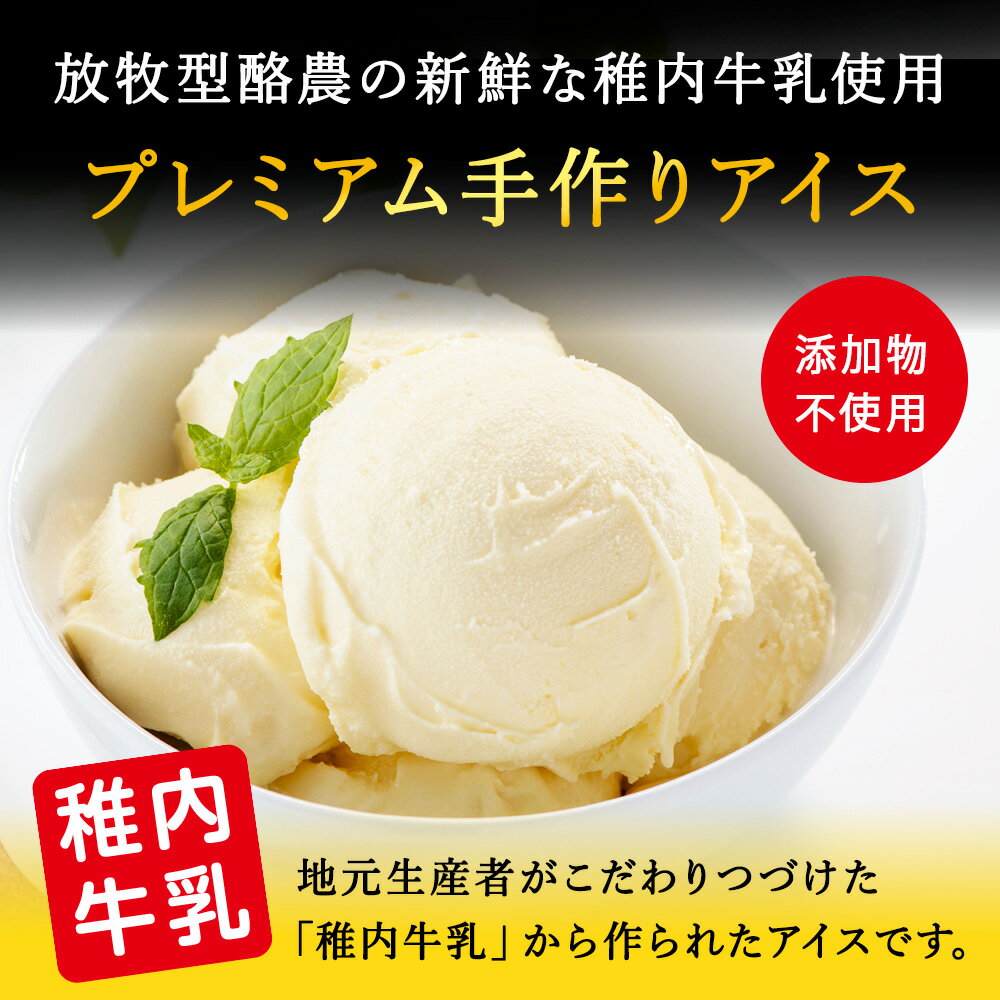 【ふるさと納税】【業務用】稚内牛乳アイスクリーム2000mlバニラ×宗谷の塩2個セット アイス アイスクリーム スイーツ ギフト プレゼント 贈り物 送料無料 【配送不可地域：離島・沖縄県】 - 画像2