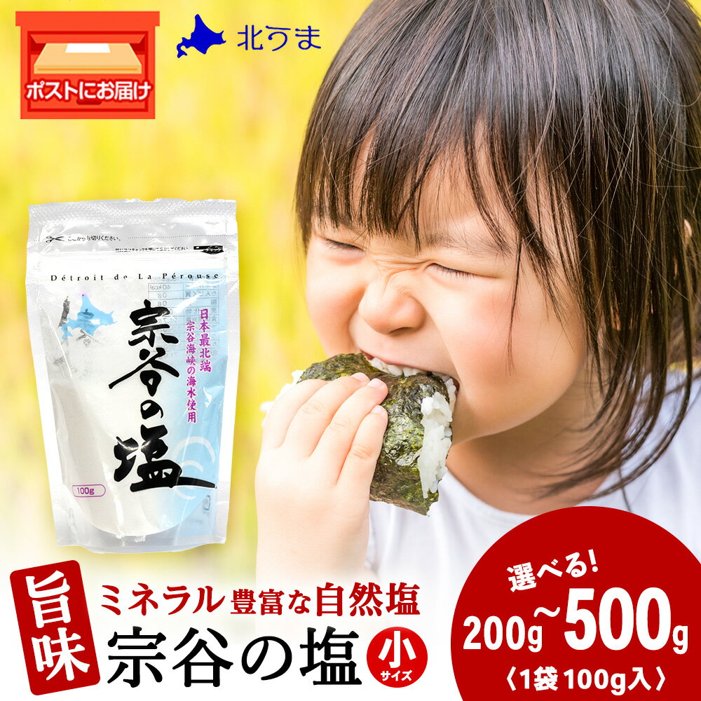 宗谷の塩 選べる200g〜500g 1袋100g宗谷の塩 しお 塩 ミネラル にがり 自然塩 ナチュラル 調味料 北海道ふるさと納税 稚内 【配送不可地域：離島・沖縄県】