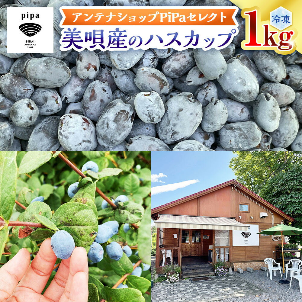 アンテナショップPiPaセレクト 美唄産のハスカップ1.0kg（500g×2）