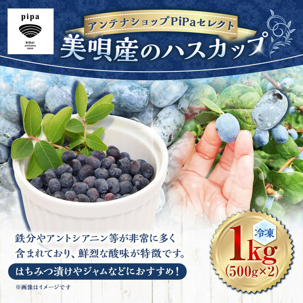 【ふるさと納税】アンテナショップPiPaセレクト 美唄産のハスカップ1.0kg（500g×2） サムネイル2
