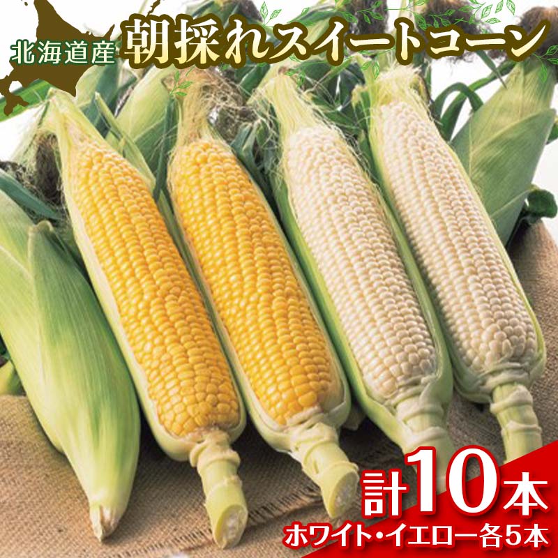 朝採れスイートコーン 10本（ホワイト/イエロー 各5本） EB8-0150