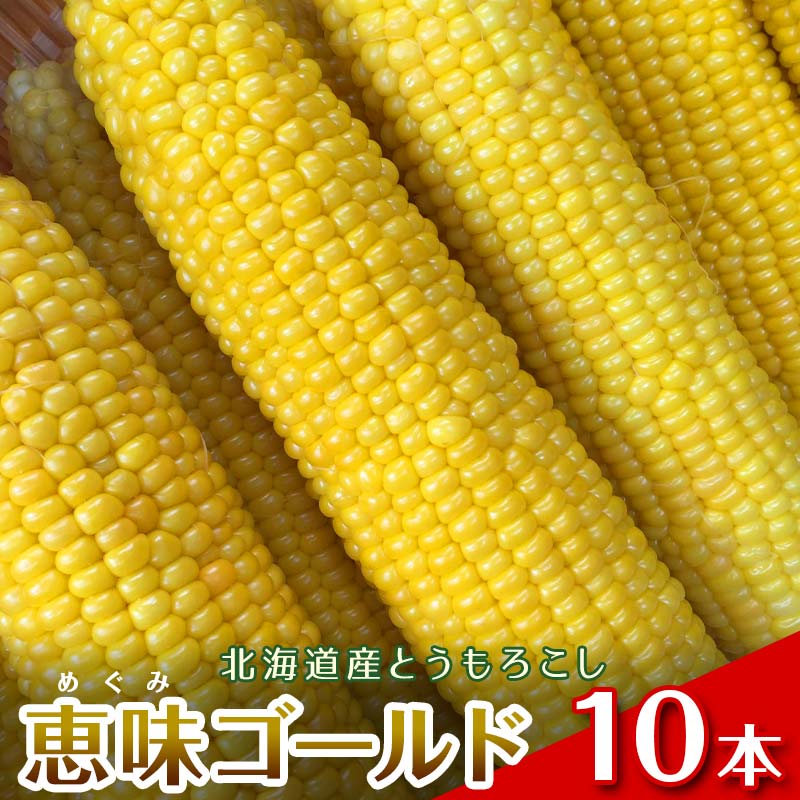 【2026年8月中旬発送開始】北海道産とうもろこし（恵味ゴールド10本） EB8-0444
