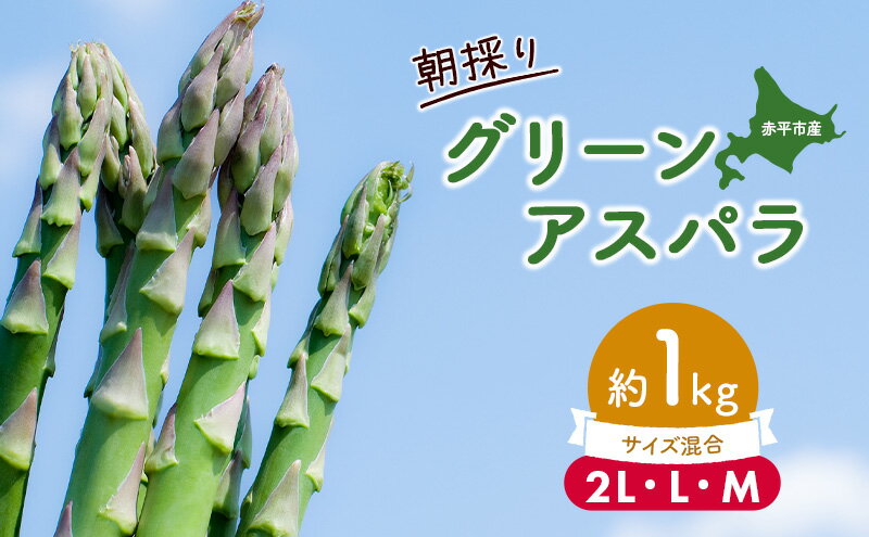 【ふるさと納税】アスパラ 北海道 朝採り 春グリーンアスパラ 約1kg 2L L M サイズ混合［ほりぐち農園］ ※2026年4月中旬出荷開始先行予約 野菜 アスパラガス グリーンアスパラ 旬 とれたて お取り寄せ 産地直送 生産者直送 　お届け：2026年4月中旬～2026年6月中旬まで - 画像2