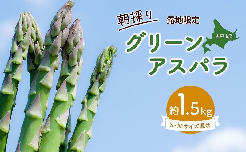 【ふるさと納税】アスパラ 北海道 約1.5kg！朝採り 露地限定グリーンアスパラ（M・Sサイズ混合）［ほりぐち農園］※2026年5月中旬出荷開始先行予約 野菜 アスパラガス 旬 とれたて お取り寄せ 産地直送 　お届け：2026年5月上旬～2026年6月中旬まで - 画像2