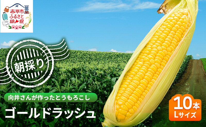 【ふるさと納税】向井さんが作ったとうもろこし ゴールドラッシュ 朝もぎ直送［Lサイズ10本］※8月下旬より順次出荷 先行予約 野菜 朝採り 生 野菜 産地直送 ジューシー 焼きとうもろこし コーンスープ BBQ　お届け：2026年8月20日頃～9月15日頃 - 画像2