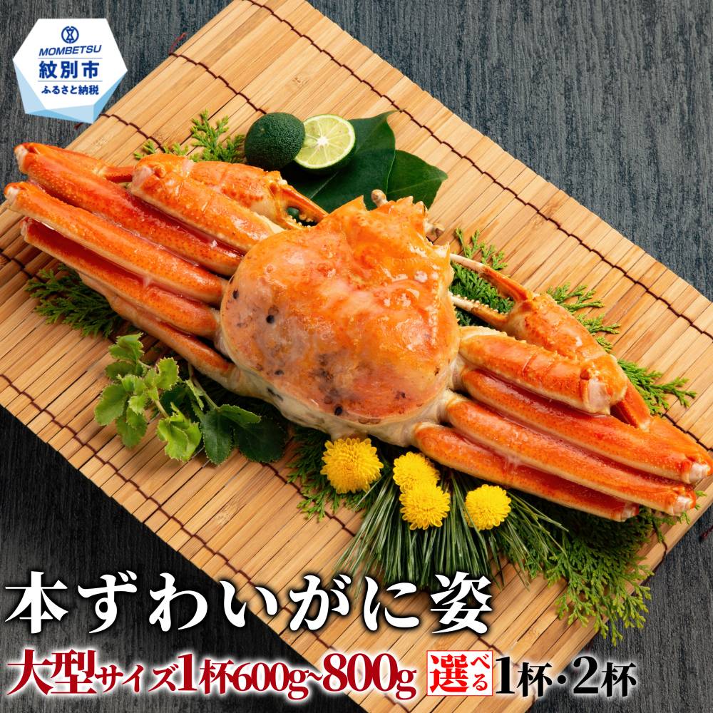 本ずわいがに姿 大型サイズ 約600〜800g | ボイルズワイガニ ボイル ずわいがに ズワイガニ 楚蟹 カニ かに 蟹 かに姿 姿 選べる 紋別市 紋別 アザラシ
