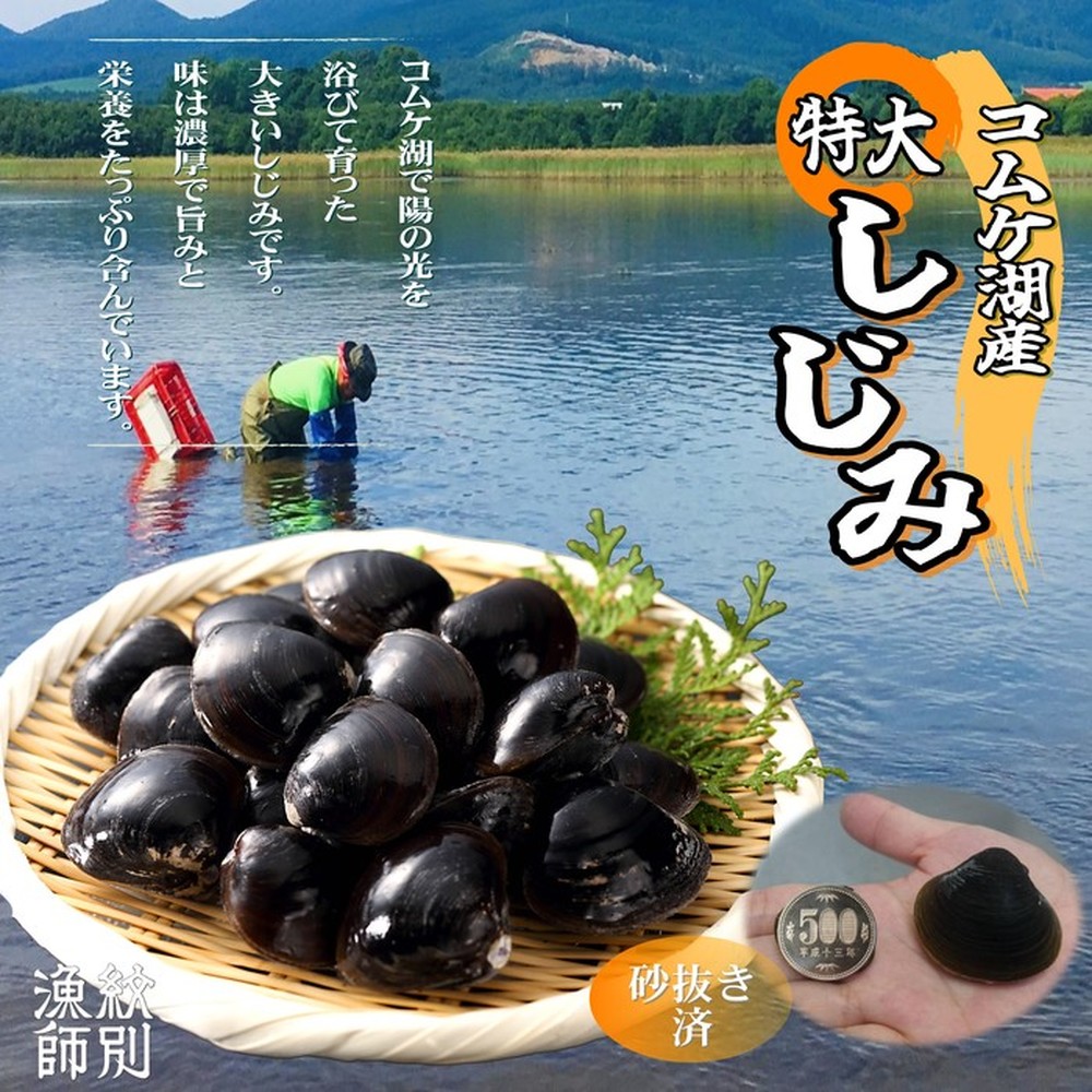 【ふるさと納税】19-42 【紋別市コムケ湖産】 手獲り特大しじみ　600g