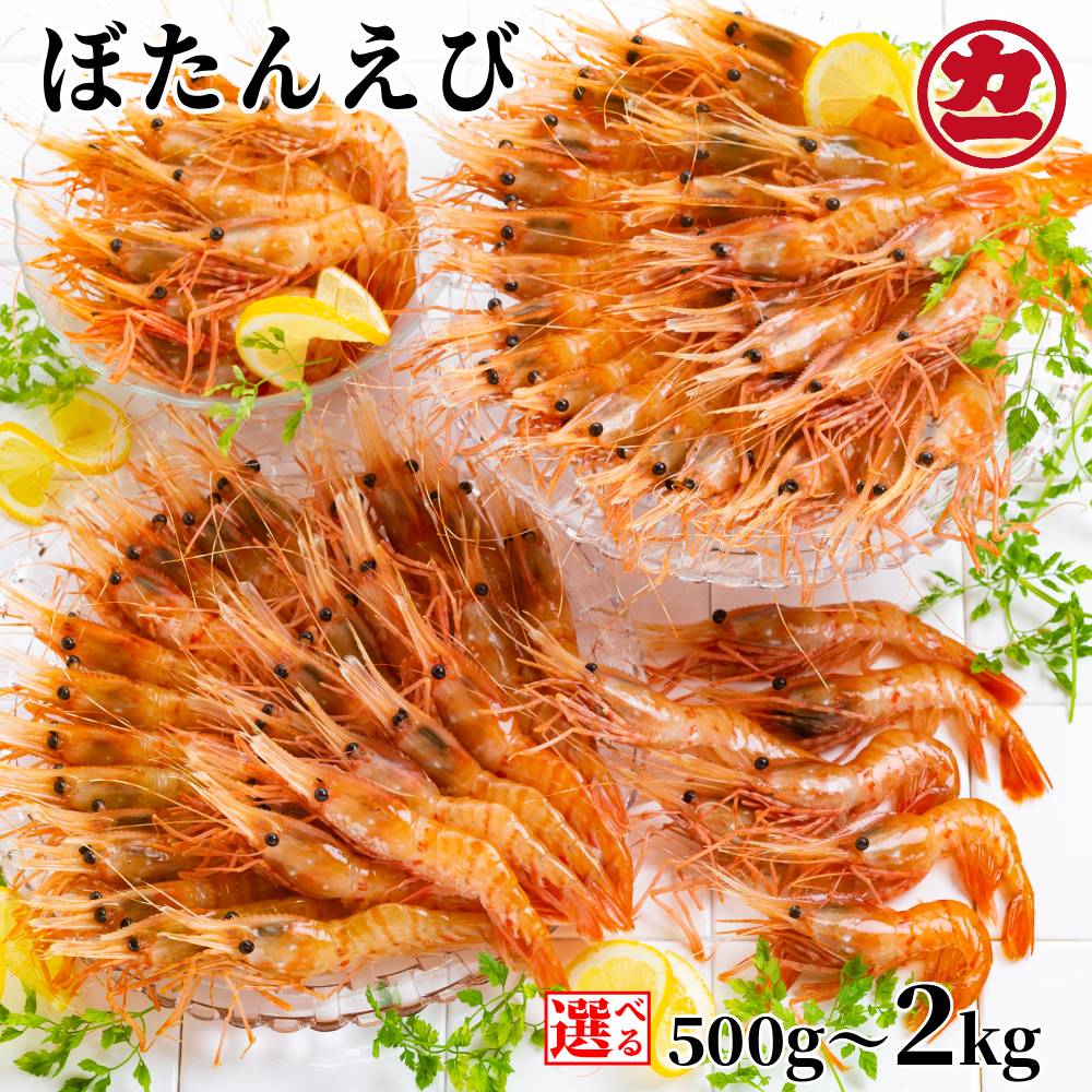 ぼたんえび | 選べる 小分け えび エビ 海老 ボタンエビ ぼたん海老 刺身 お刺身 お寿司 冷凍 グルメ 串焼き 手巻き寿司 海鮮丼 北海道 hokkaido アザラシ