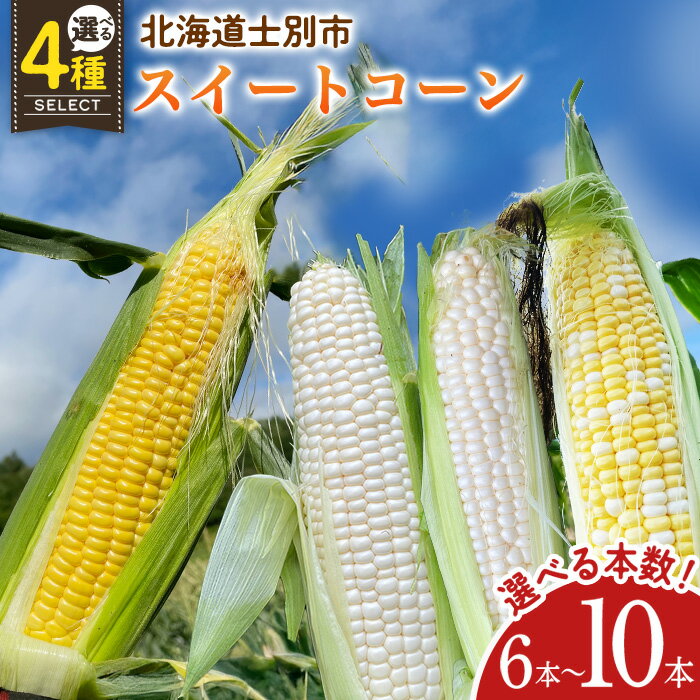 ＜期間限定＞天塩川源流スイートコーン ゴールドラッシュ ホイップコーン (6本～10本) 【2026年8月より順次発送】 北海道産 北海道 士別市 とうもろこし トウモロコシ とうきび 野菜 産地直送 【三栄アグリ】