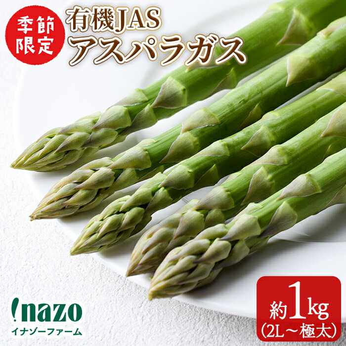 ＜季節限定＞有機JASアスパラガス(約1kg・2L～極太) 【先行予約受付中・2026年4月中旬頃から順次発送】期間限定 アスパラ グリーンアスパラ 旬 野菜 【イナゾーファーム】