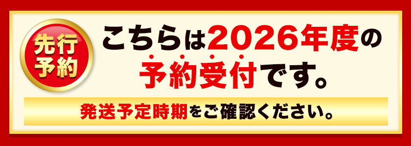 【ふるさと納税】【先行予約】とうもろこし 極甘 スイートコーン 「 ゴールドラッシュ 」 5kg 以上 11～13本 8.5kg 以上 20～22本 【2026年8月上旬-9月中旬頃出荷】 特大 北海道 野菜 コーン なよろイエロー 名寄イエロー サムネイル2