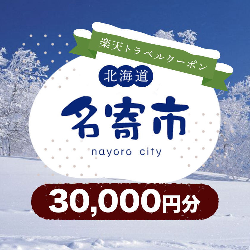 【ふるさと納税】北海道名寄市の対象施設で使える楽天トラベルクーポン 寄付額100,000円 サムネイル2