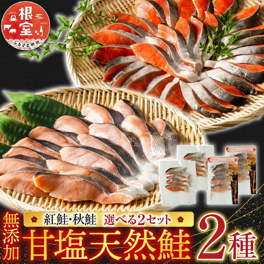 根室海鮮市場 ＜直送＞ 無添加甘塩天然鮭 2 種セット 紅鮭 秋鮭 鮭 さけ サケ しゃけ シャケ 魚 さかな サカナ 切り身 切身 北海道 根室市