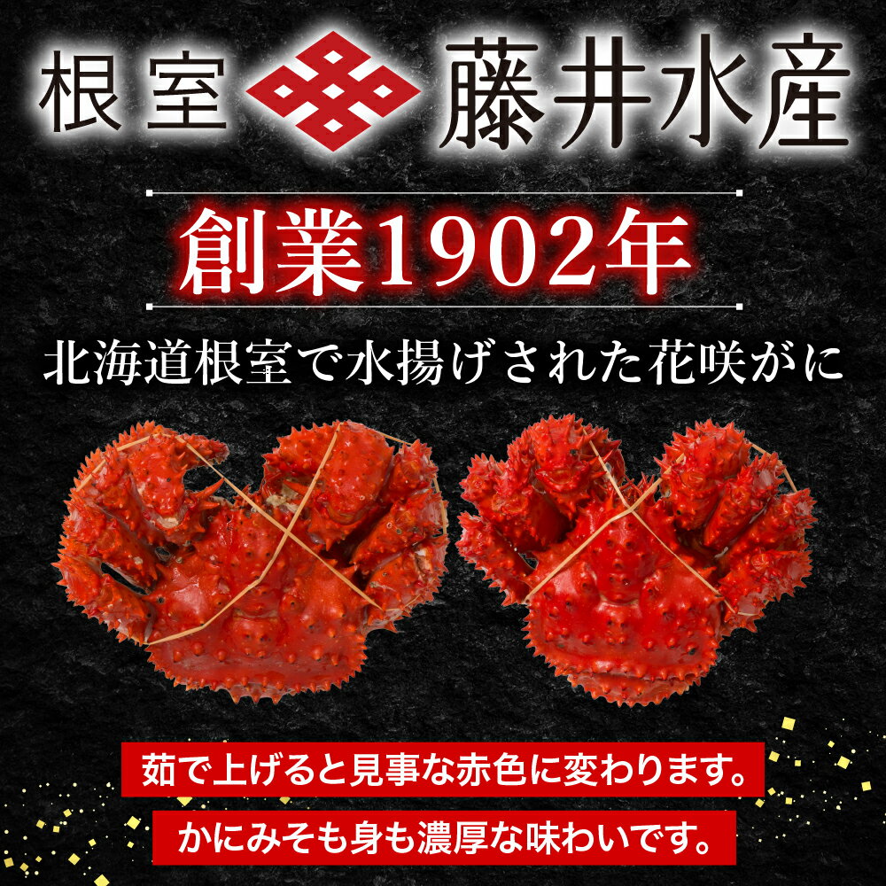【ふるさと納税】＜年内配送可＞ [北海道根室産] ＜鮭匠ふじい＞ ボイル花咲がに 選べる計約 1kg 〜 2.4kg 花咲がに 花咲 花咲かに 花咲蟹 かに カニ 蟹 お取り寄せ グルメ 海鮮 ボイル 茹で蟹 茹でがに 茹でガニ 焼きがに 鉄砲汁 北海道 根室市 ふるさと納税 サムネイル2