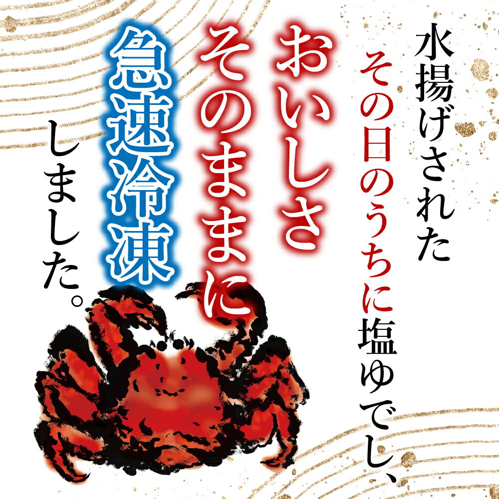 【ふるさと納税】＜年内配送可＞ [北海道根室産] ＜鮭匠ふじい＞ ボイル花咲がに 選べる計約 1kg 〜 2.4kg 花咲がに 花咲 花咲かに 花咲蟹 かに カニ 蟹 お取り寄せ グルメ 海鮮 ボイル 茹で蟹 茹でがに 茹でガニ 焼きがに 鉄砲汁 北海道 根室市 ふるさと納税 サムネイル3