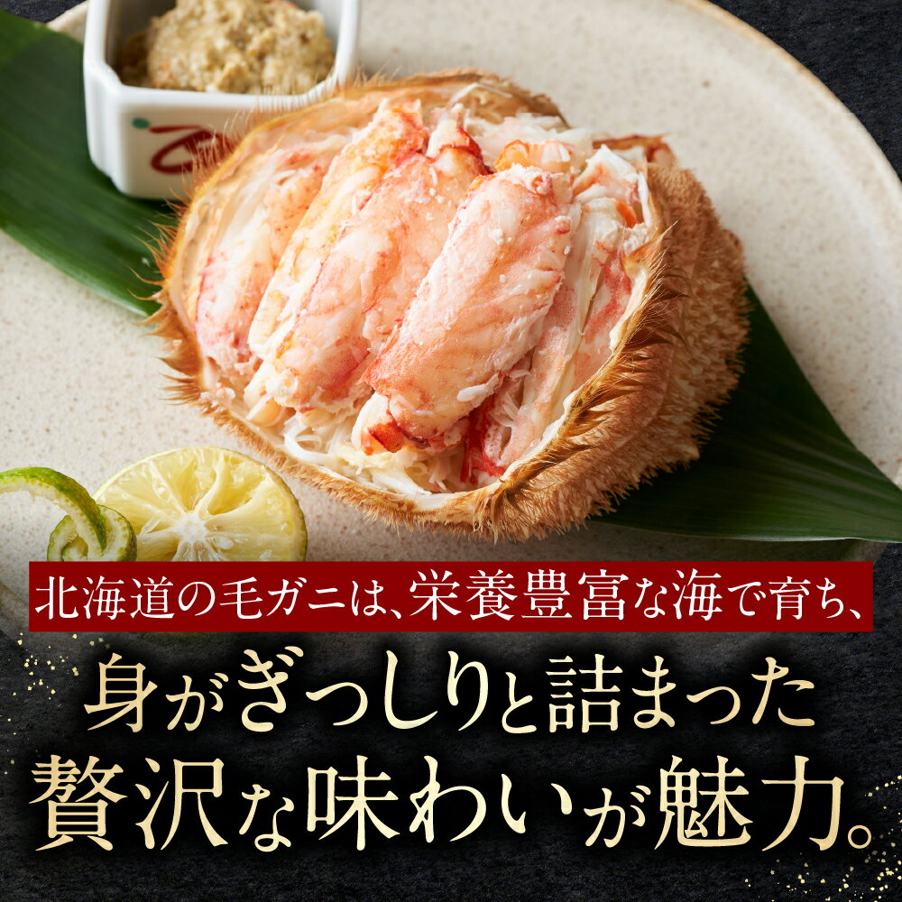 【ふるさと納税】＜年内配送可＞ 浜ゆで 毛がに 350g 前後 × 2 尾 毛ガニ 毛蟹 けがに ケガニ かに カニ 蟹 お取り寄せ グルメ 海鮮 ボイル 茹で蟹 茹でがに 茹でガニ 浜茹で 北海道 根室市 ふるさと納税 A-21001 サムネイル3
