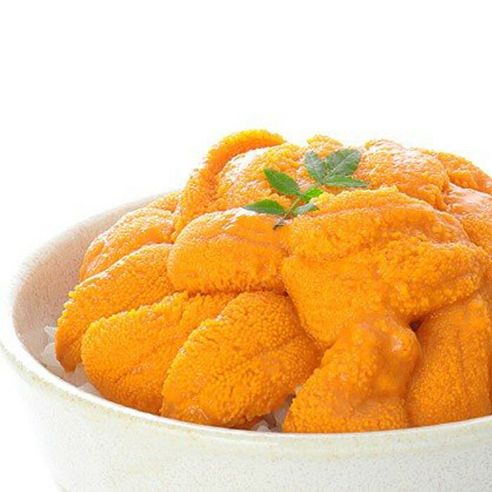 エゾバフンウニ塩水パック 50 〜 60g × 2P うに ウニ 雲丹 バフンウニ エゾバフンうに えぞばふんうに 蝦夷バウンウニ 蝦夷ばふんうに ウニ丼 うに丼 雲丹丼 刺身 お取り寄せ グルメ 海鮮 北海道 根室市 ふるさと納税 A-06011