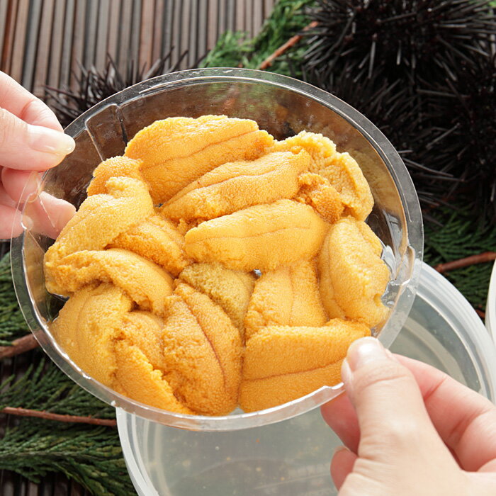 【ふるさと納税】ムラサキウニ塩水パック ( 70g ~ 80g × 2P ) ( 110 ~ 120g × 2P ) うに ウニ 雲丹 ムラサキうに むらさきうに 紫うに 紫ウニ 紫雲丹 塩水 塩水うに 塩水ウニ ウニ丼 うに丼 雲丹丼 刺身 グルメ 海鮮 海産物 北海道 - 画像3