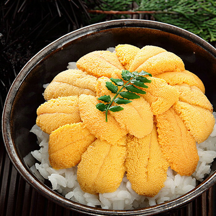 【ふるさと納税】ムラサキウニ塩水パック ( 70g ~ 80g × 2P ) ( 110 ~ 120g × 2P ) うに ウニ 雲丹 ムラサキうに むらさきうに 紫うに 紫ウニ 紫雲丹 塩水 塩水うに 塩水ウニ ウニ丼 うに丼 雲丹丼 刺身 グルメ 海鮮 海産物 北海道 - 画像2