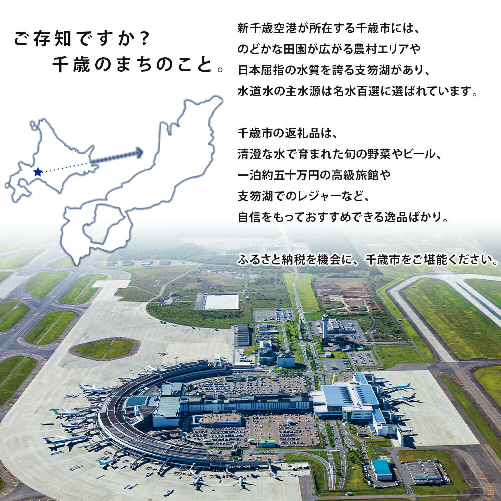 【ふるさと納税】北海道千歳市の対象施設で使える楽天トラベルクーポン　寄附額20,000円 サムネイル2
