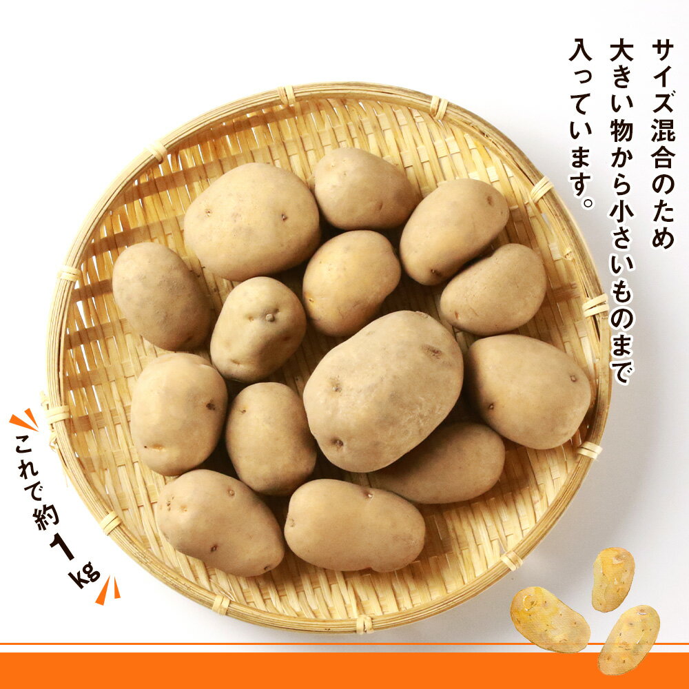 【ふるさと納税】 【 2025年 新じゃが 】インカのめざめ 混合 20kg いも 芋 じゃがいも ジャガイモ インカ 野菜 北海道 千歳【北海道千歳市】ギフト ふるさと納税 サムネイル3