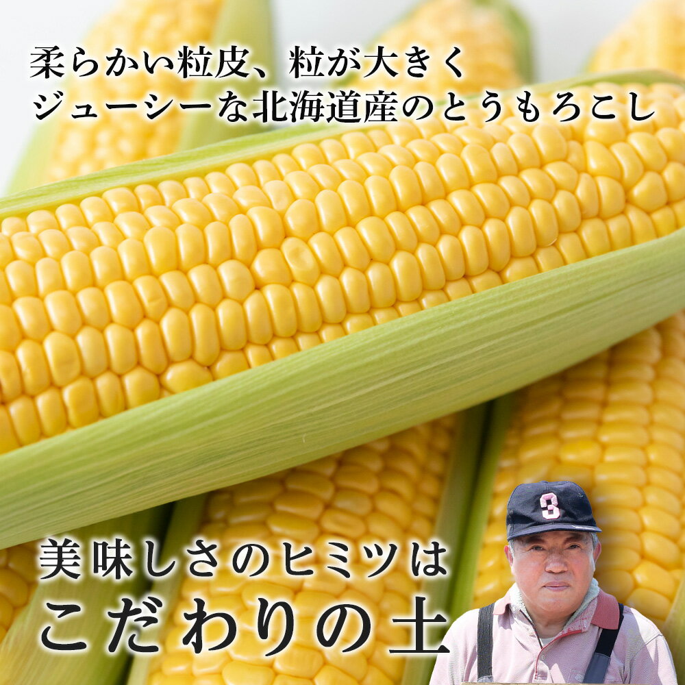 【ふるさと納税】トウモロコシ10本×もりもとハスカップジュエリー4個セット≪土居ファーム≫もりもと morimoto 菓子 洋菓子 ケーキ ハスカップ ジャム ハスカップ 北海道 野菜 とうもろこし 冷蔵 千歳 北海道 北海道ふるさと納税 千歳市 ふるさと納税【北海道千歳市】 - 画像3