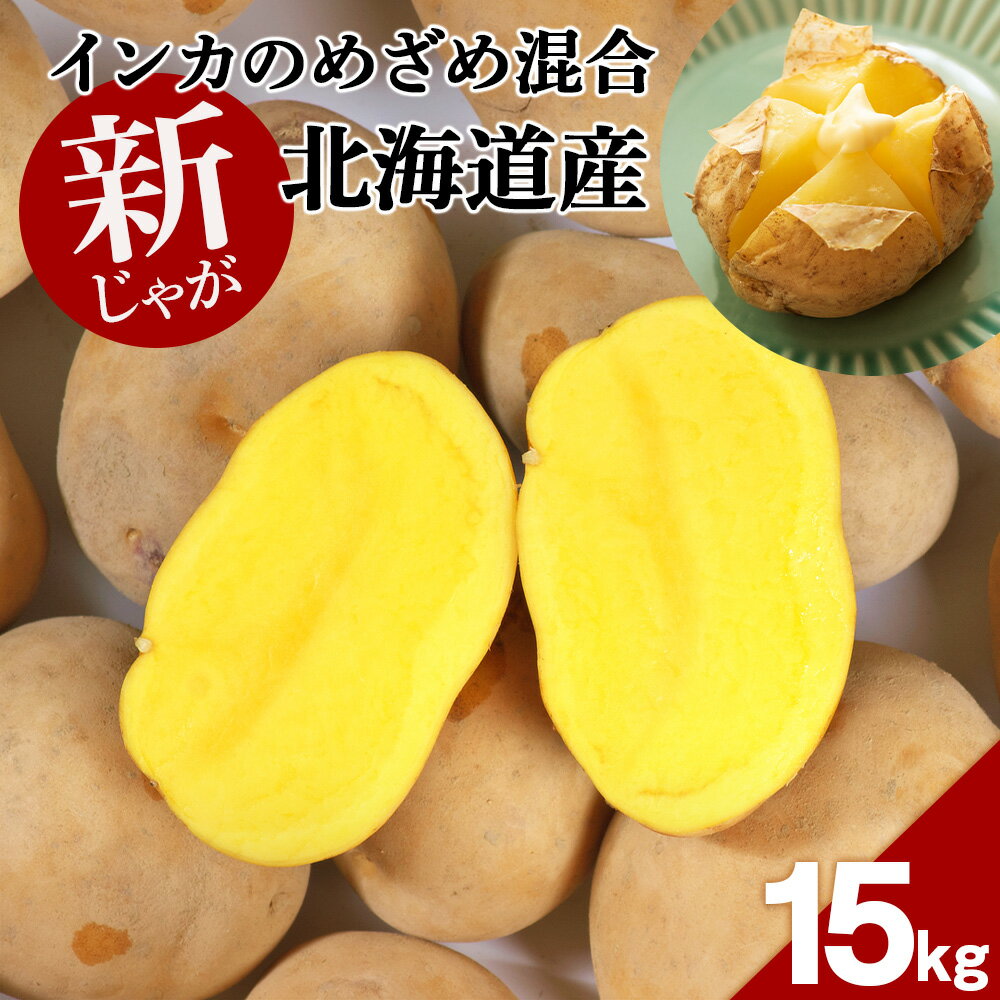 【 2025年 新じゃが 】インカのめざめ 混合 15kg いも 芋 じゃがいも ジャガイモ インカ 野菜 北海道 千歳【北海道千歳市】野菜 じゃがいも