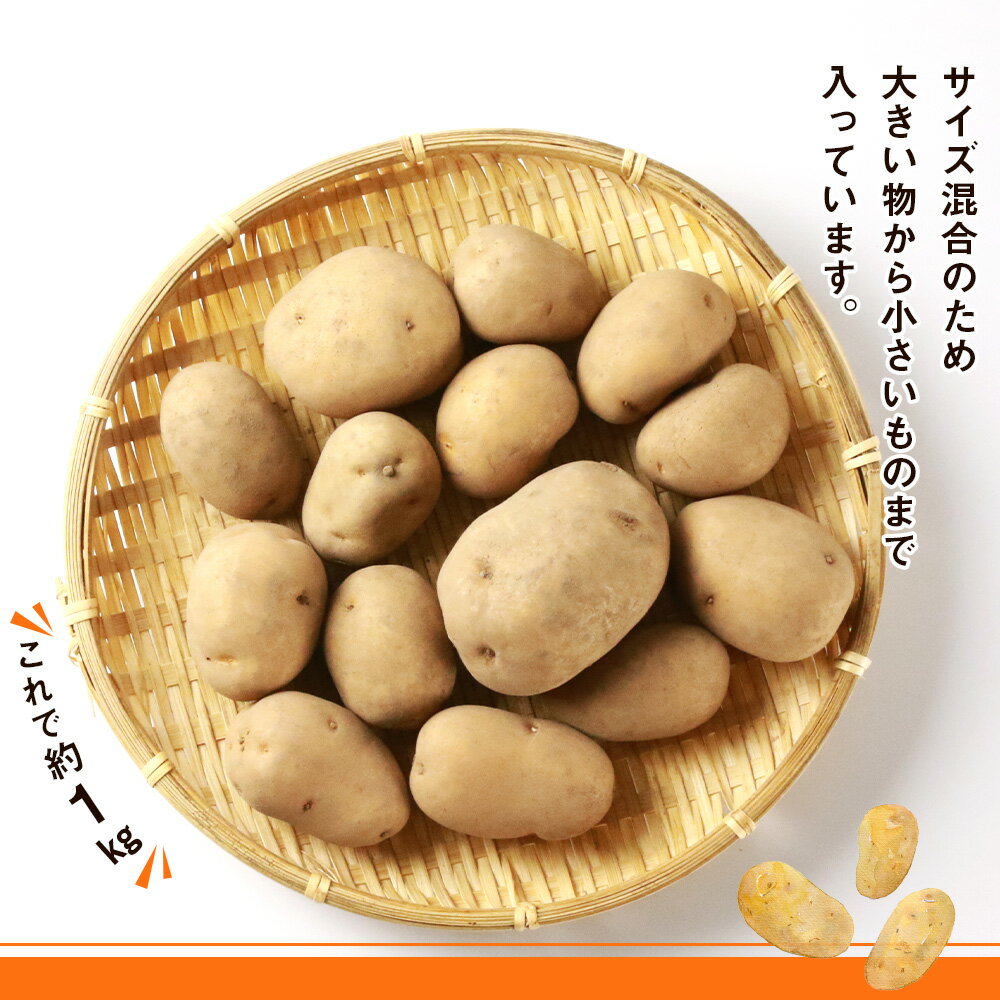 【ふるさと納税】【 2025年 新じゃが 】インカのめざめ 混合 15kg いも 芋 じゃがいも ジャガイモ インカ 野菜 北海道 千歳【北海道千歳市】野菜 じゃがいも サムネイル3