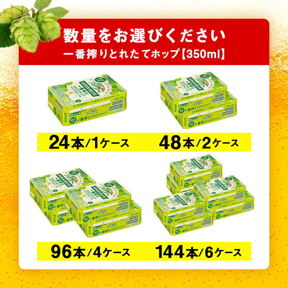 【ふるさと納税】一番搾り とれたてホップ 生ビール ＜ 北海道 千歳工場産＞ 350ml 選べる1ケース～6ケース 1ケース24本入 ビール 酒 キリン KIRIN北海道ふるさと納税 ビールふるさと納税 北海道 ギフト 内祝い お歳暮 酒【北海道千歳市】ビール ギフト ふるさと納税 サムネイル2