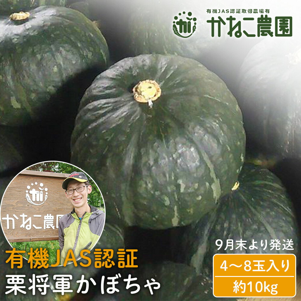 【2026年9月末より発送】栽培期間農薬不使用！有機栗将軍かぼちゃ 4〜8玉入り（約10kg）【かねこ農園】北海道ふるさと納税 野菜 南瓜 有機栽培 有機野菜 JAS認定圃場 北海道 【北海道千歳市】