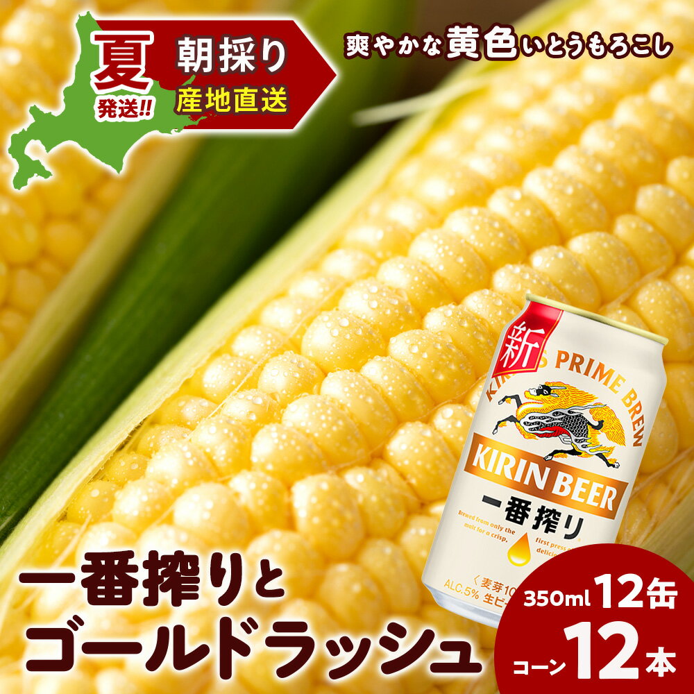 2026年夏発送 キリン一番搾り 350ml 12缶＆黄色いとうもろこしゴールドラッシュ12本 北海道千歳産 野菜 とうもろこし とうきび キリンビール 麒麟ビール ビール 【北海道千歳市】ビール ギフト ふるさと納税 KIRIN