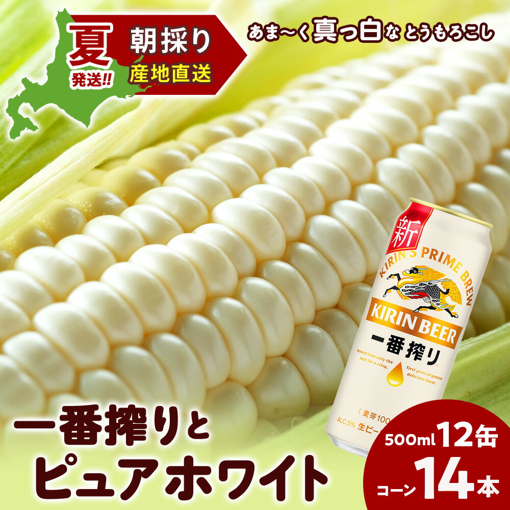 2026年夏発送 キリン一番搾り 500ml 12缶＆白いとうもろこしピュアホワイト14本 北海道千歳産 野菜 とうもろこし とうきび キリンビール 麒麟ビール ビール 【北海道千歳市】ギフト ふるさと納税 麒麟 KIRIN