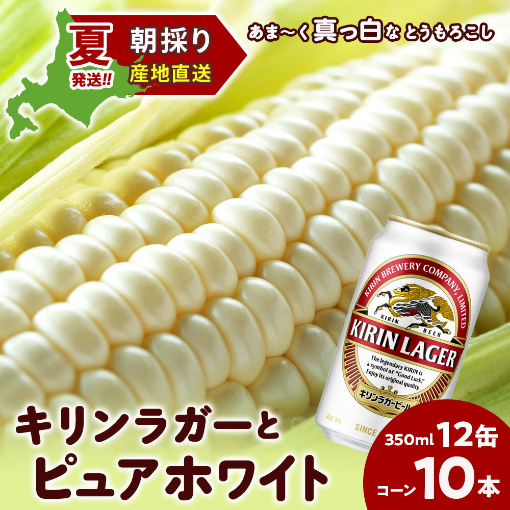 2026年夏発送 キリンラガービール 350ml 12缶＆白いとうもろこしピュアホワイト10本 北海道千歳産 野菜 とうもろこし とうきび キリンビール 麒麟ビール ビール 【北海道千歳市】ビール ギフト ふるさと納税 KIRIN